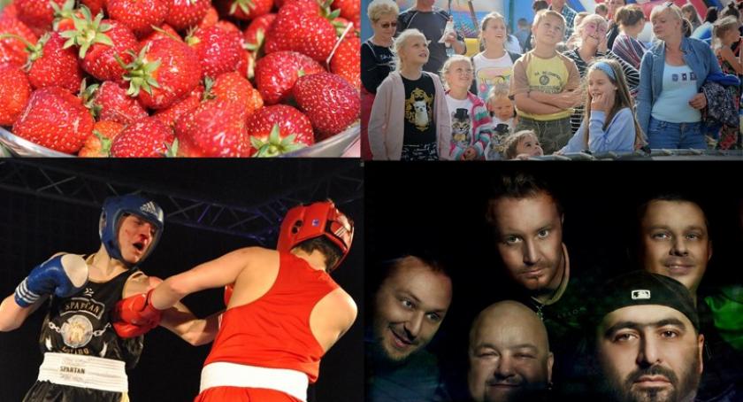 Weekend z festynami, Truskawkobraniem i Galą Champion’s Fight Night