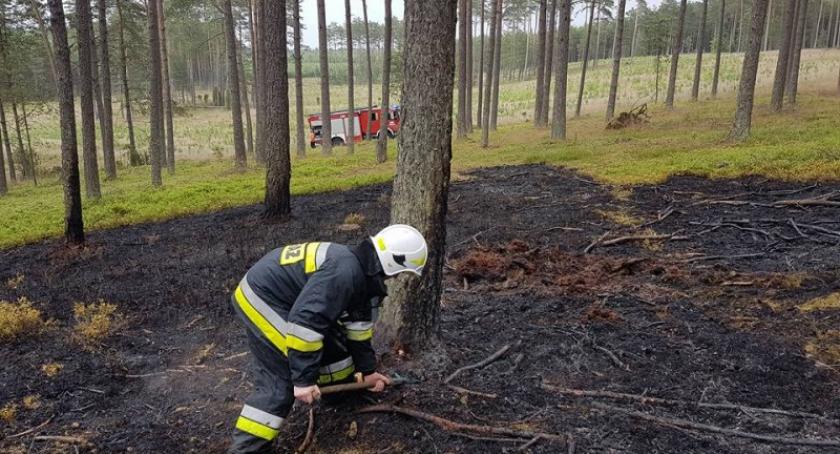 Burza nad Kaszubami znów wyrządza szkody - strażacy interweniują