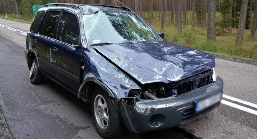 Lipusz-Papiernia. Honda wypadła z drogi - dwie osoby w szpitalu