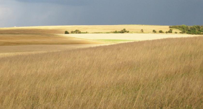Wdzydze Tucholskie. Mężczyzna zmarł podczas prac polowych