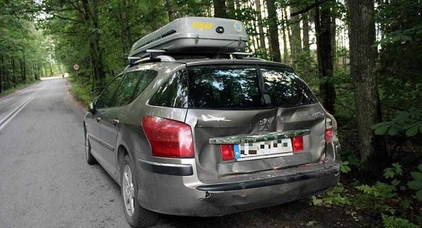 Kamienna Góra. Dostawczy Mercedes wjechał w Peugeota