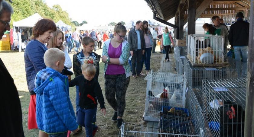 Lubań. Kaszubska Jesień Rolnicza