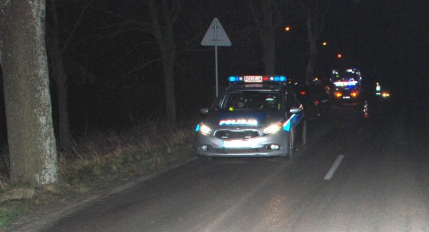 Zamek Kiszewski. Kią w drzewo - 11-latek z ciężkimi obrażeniami trafił do szpitala