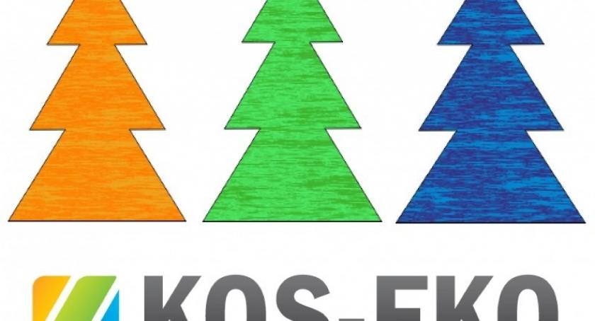 Choinki ocieplą mieszkania kościerzaków