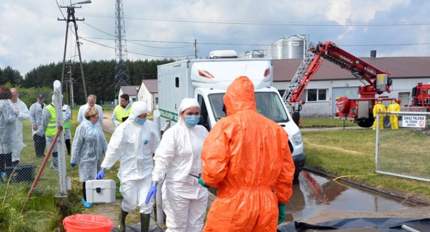 Skorzewo. Ptasia grypa zaatakuje? Służby w gotowości