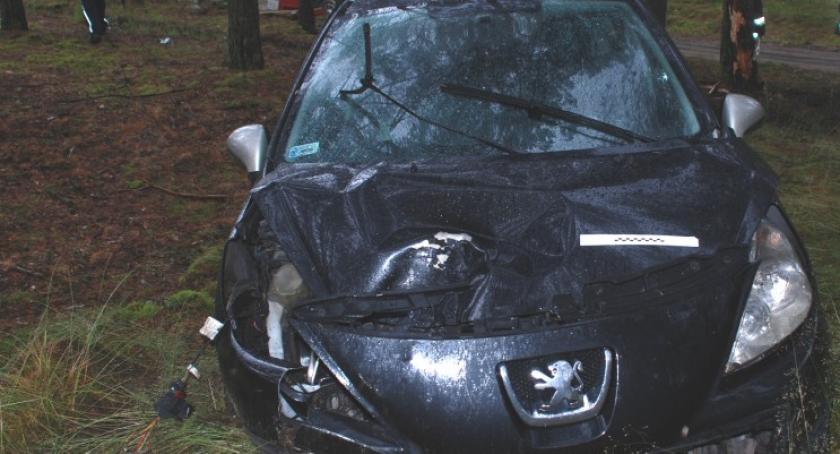 Olpuch-Wdzydze Tucholskie. Peugeot wypadł z trasy i uderzył w drzewo