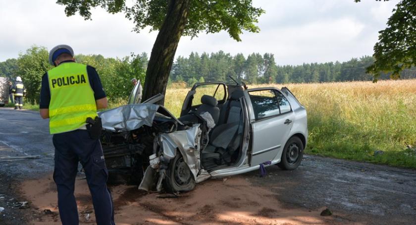 Lubieszyn. Skoda rozbiła się na drzewie - ranny kierowca
