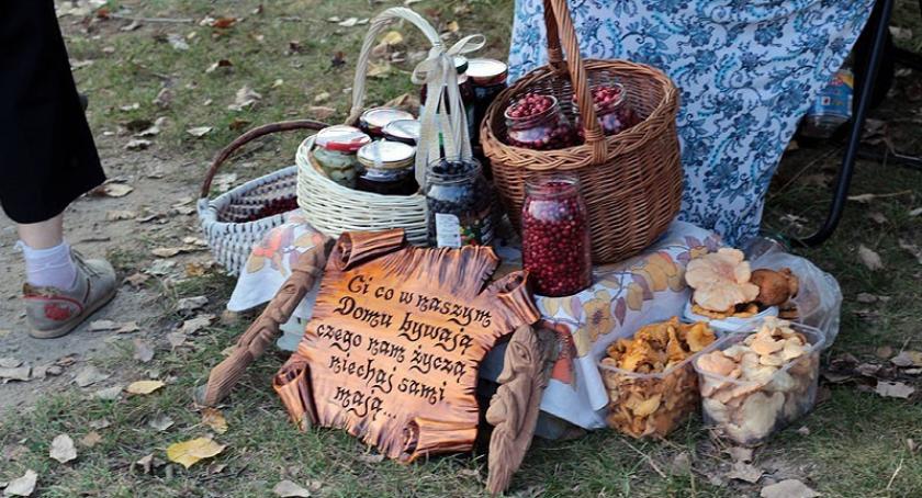 Będzie aktywnie, smacznie i przyjemnie - przed nami IV Festiwal Żurawiny