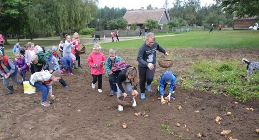 Wdzydze. Ruszyli z motyką na bulwy