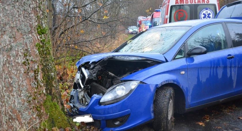 Szumleś Szlachecki. Seat uderzył w drzewo