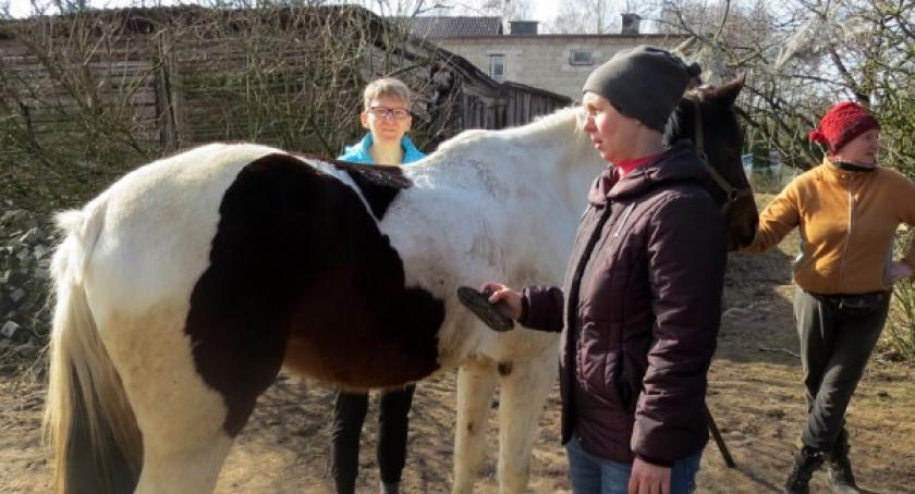 Aktywność drogą do samodzielności - nowy projekt ŚDS Kościerzyna