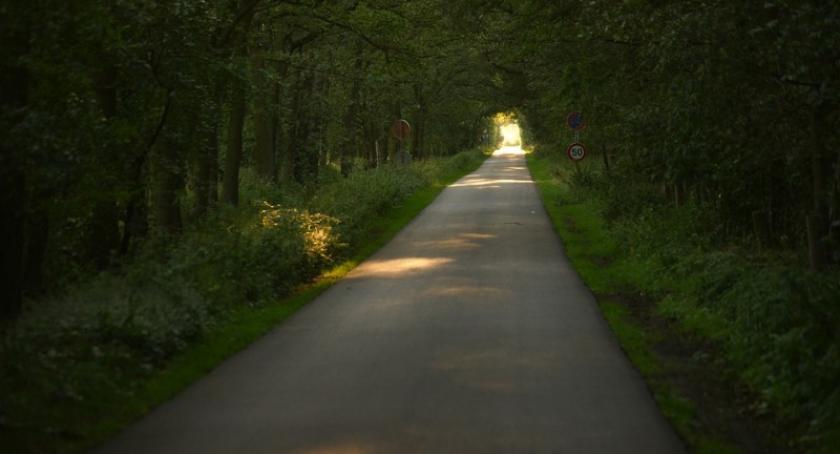 Niebawem rozbudowa drogi Lubań - Nowy Barkoczyn
