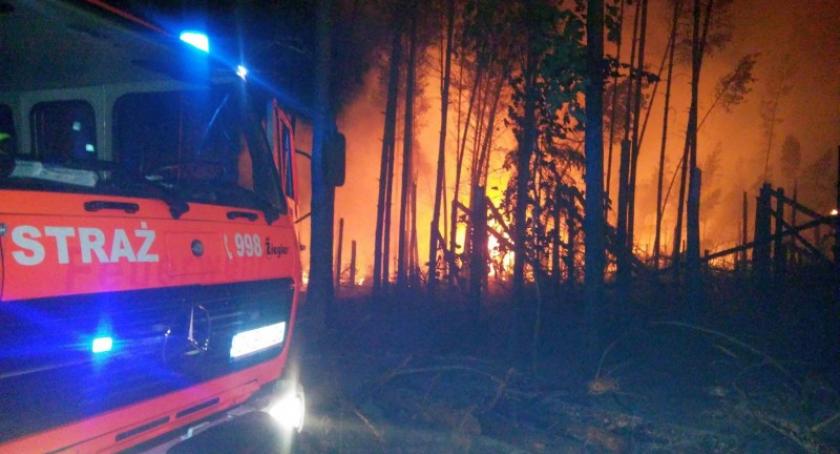 Płonął las w Tuszkowach i Dziemianach. Kolejne podpalenie?