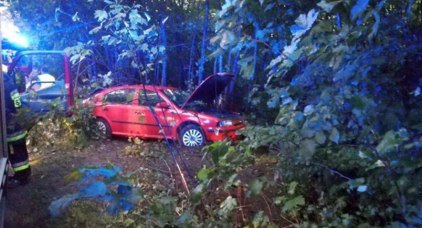 Dziemiany. Skoda wypadła z drogi
