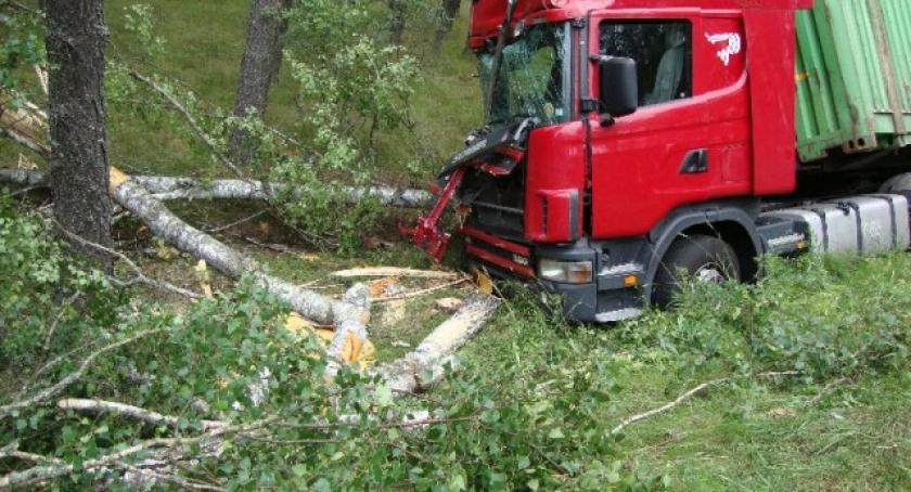 Chciał ominąć sarnę, wylądował w rowie