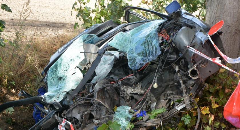 Lubieszyn. Wyprzedzał inne pojazdy, zatrzymał się na drzewie - nie żyje 29-latek