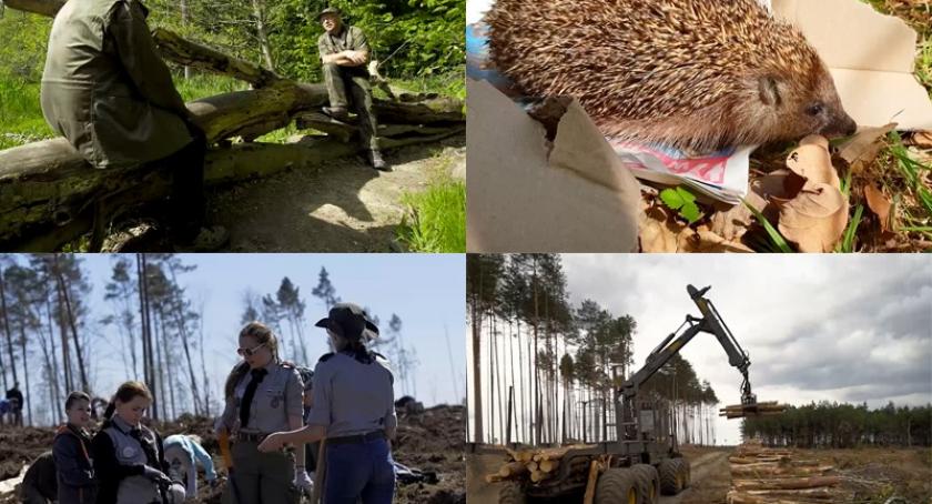 Kaszëbskô Prziroda - reportaż o kaszubskiej naturze - zobacz zwiastun