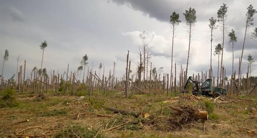 Kaszëbskô Prziroda - reportaż o kaszubskiej naturze