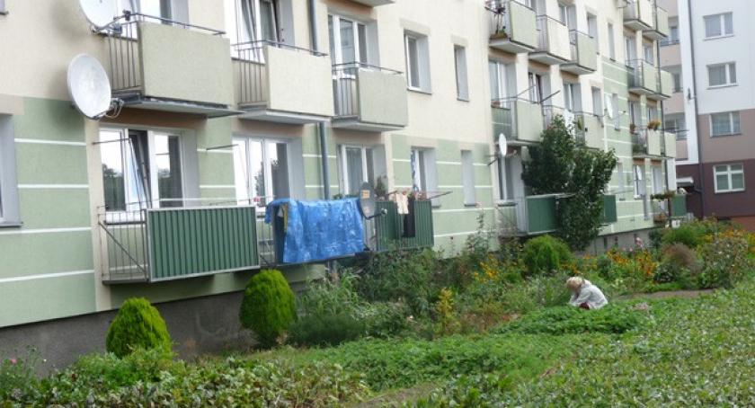 Kościerzyna. Ogródki uprawne w centrum miasta