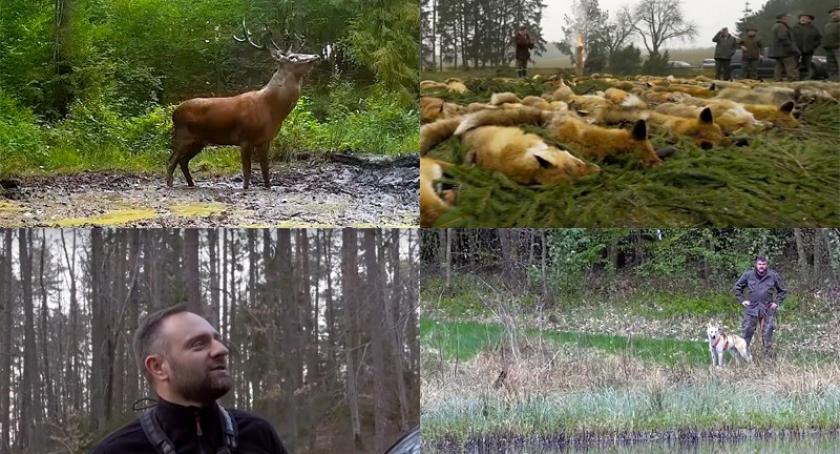 Kaszëbskô Prziroda cz. 2 - reportaż o kaszubskiej naturze - zobacz zwiastun