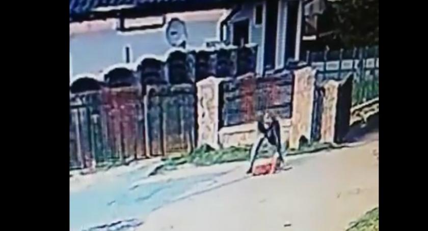Skatował psa - młodego mężczyznę szuka policja