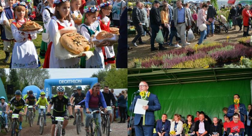 Weekend z targami i dożynkami w Lubaniu, świętem w Osadzie Burego Misia oraz sportowymi emocjami