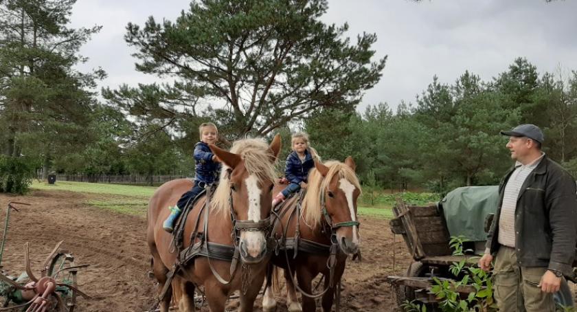 Ruszyli z motyką  na bulwy we wdzydzkim skansenie