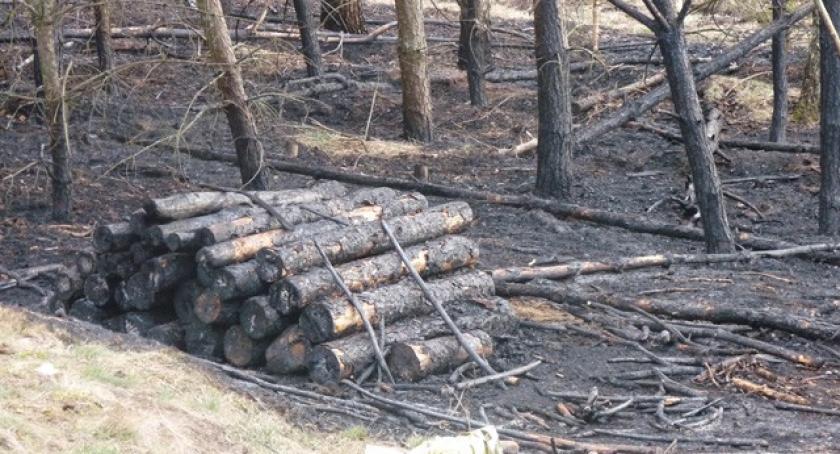 Olpuch. Znaleziono zwłoki mężczyzny. Kolejna ofiara wypalania traw?