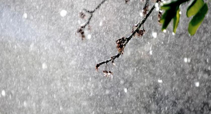 Nieproszony gość zepsuł niedzielne imprezy
