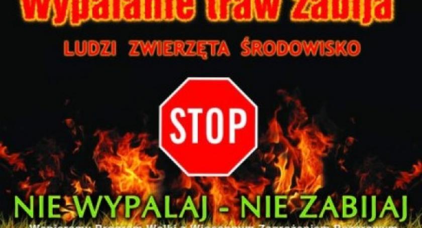 Wypalasz trawę - możesz zapłacić do 5 tys. zł kary!