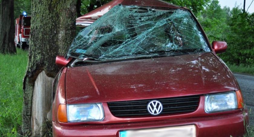 Nowa Karczma-Lubieszyn. VW uderzył w drzewo - kierowca był pijany