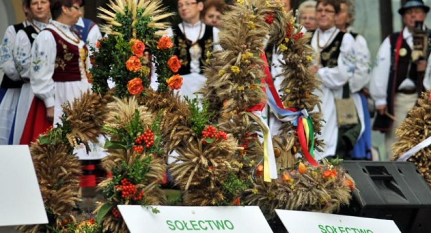 Wiele. Dożynkowe świętowanie w gminie Karsin