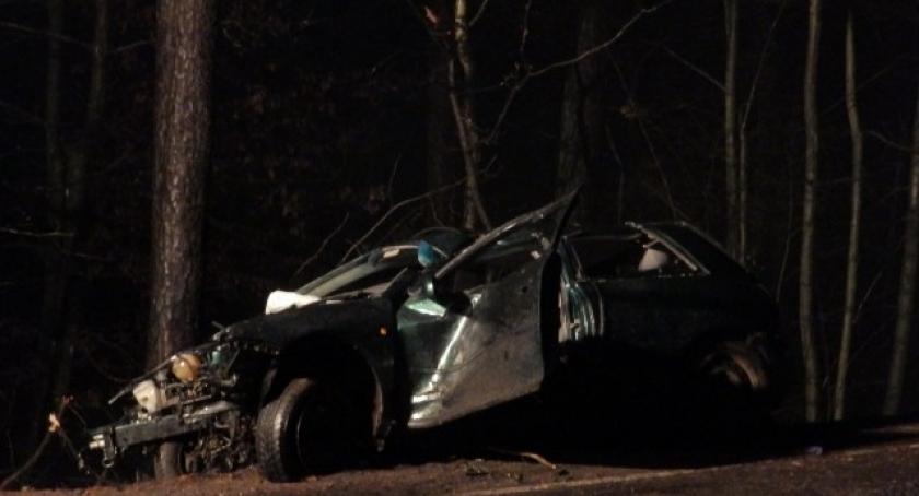 Audi uderzyło w drzewo. Kierowca nie żyje (aktualizacja) 