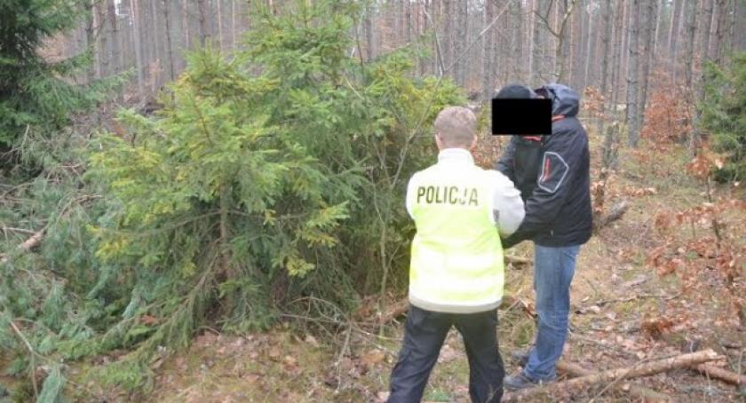 Kościerzyna. Złodzieje choinek w rękach policji 