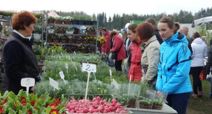 Tłumy zwiedzających. Targi Ogrodnicze w Lubaniu