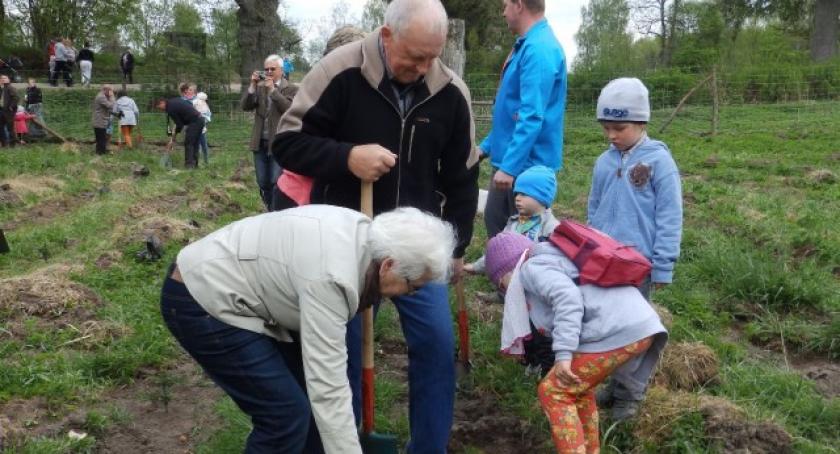 Mieszkańcy Lipusza sadzili drzewka w Płocicznie. Parafialno-Gminny Spacer Rodzinny