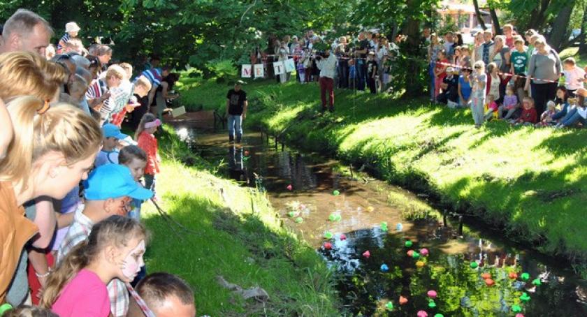 Kościerzyna. Ponad 600 kaczek ścigało się na rzece