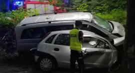 Grabówko. Zderzenie opla z busem - w akcji LPR