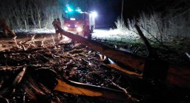 Powywracane drzewa i brak prądu - strażacy walczą ze skutkami wichury