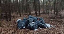Śmieci trafiają do lasów, na ulice, a także lądują w piecach