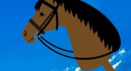 I Mistrzostwa Kaszub - Hobby Horse Dziemiany 2023