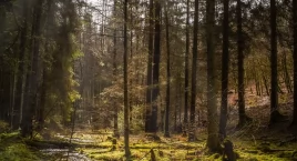Inauguracja edukacyjnej gry terenowej 