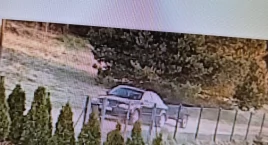 Ukradł panele ogrodzeniowe, poszukuje go policja!