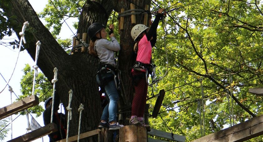 Akcja Lato w Mieście 2020: Bezpłatny park linowy i kolej linowa na Dębowcu