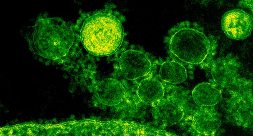 Stan epidemiologiczny na 23 sierpnia | 17 nowych zakażeń