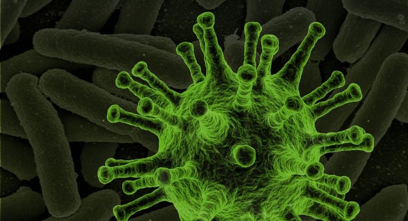 Stan epidemiologiczny na 2 września | Zmarło 4 mieszkańców regionu