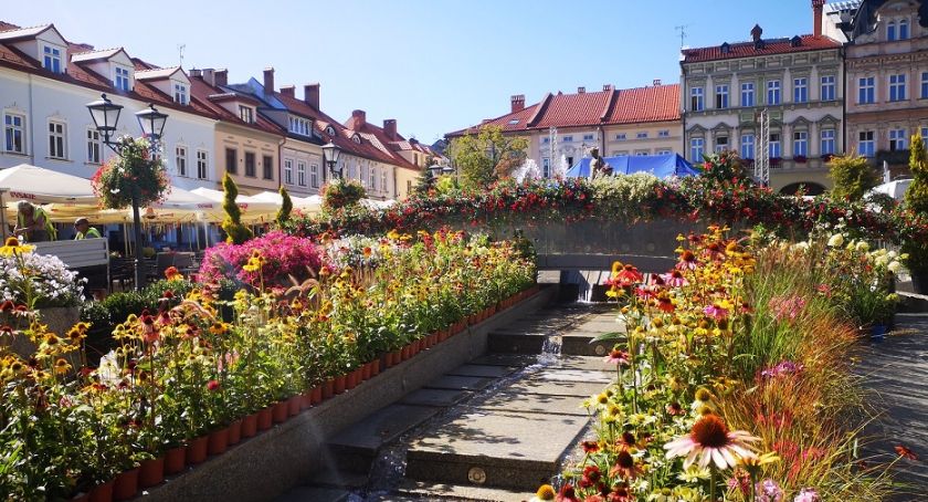 Bielski Rynek tonie w kwiatach FOTO