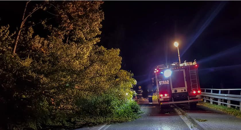 Wiatr przewraca drzewa w Międzybrodziu Bialskim