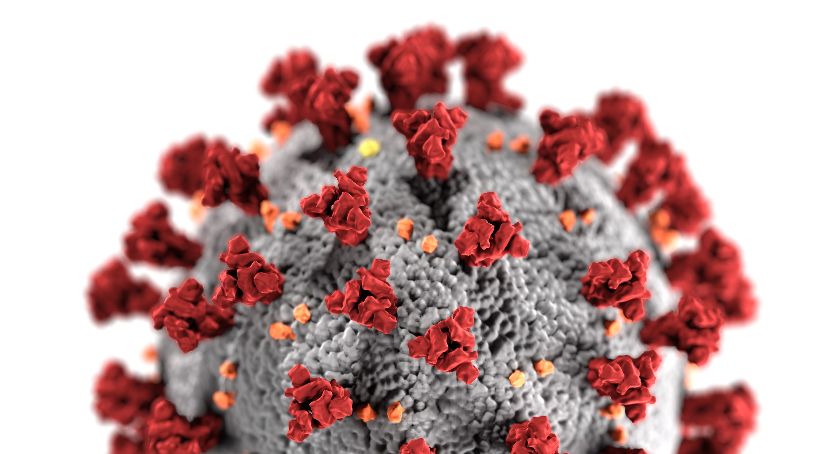 Stan epidemiologiczny na 31 października | 575 nowych zakażeń w regionie