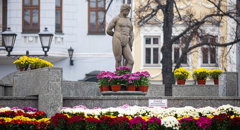 Tysiąc chryzantem przyozdobi Bielsko-Białą